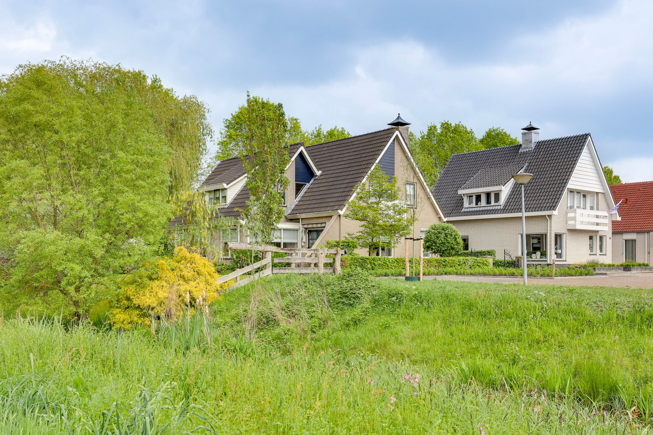 Photo 3 of Roerdomp 36