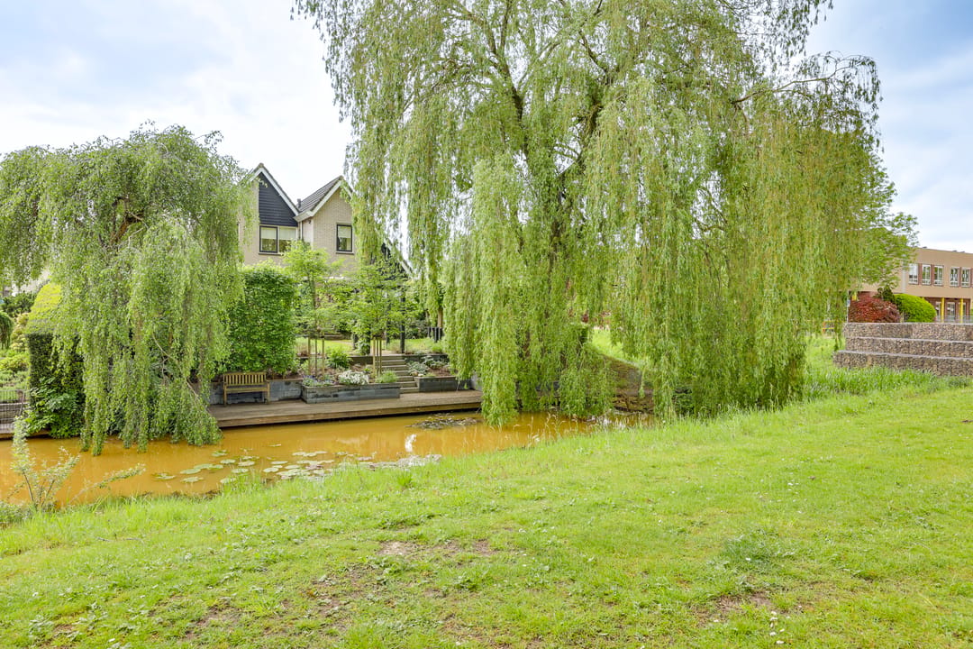 Photo 62 of Roerdomp 36
