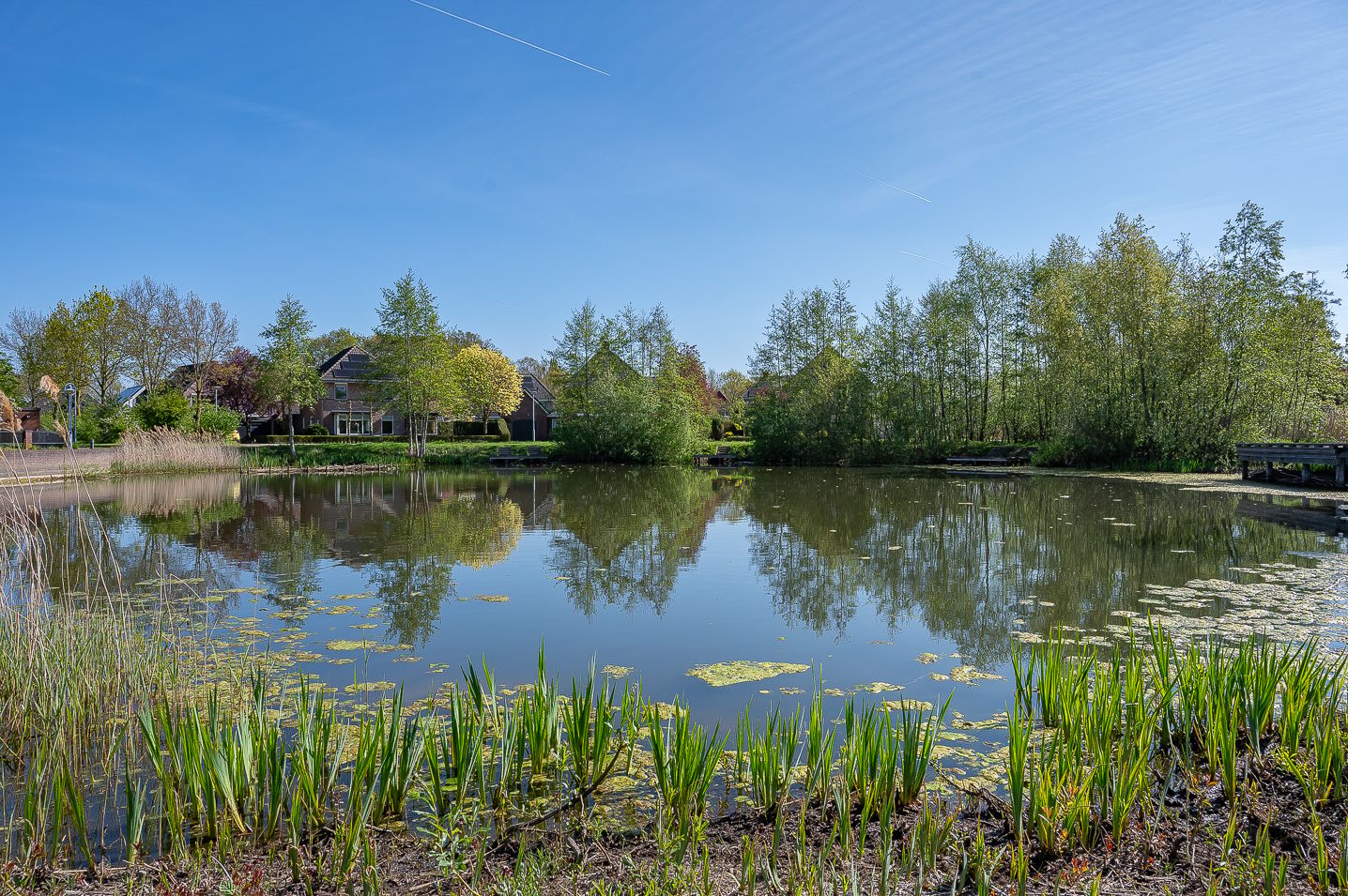 Photo 4 of Holtmaet 5