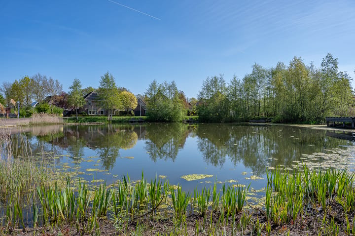 Foto 4 van Holtmaet 5