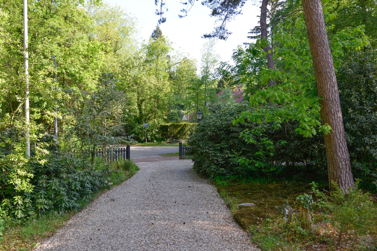 Photo 35 of Naarderstraat 311