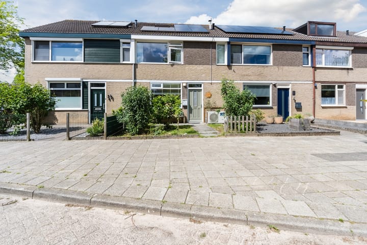 Foto 4 van Poolster 5