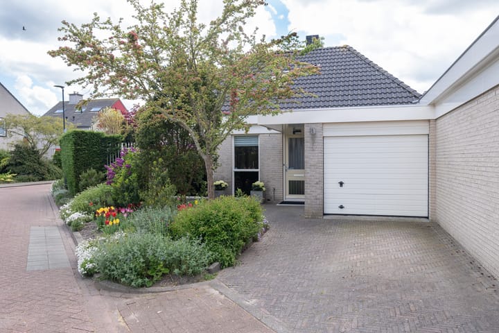 Foto 3 van Dwergvinvis 28