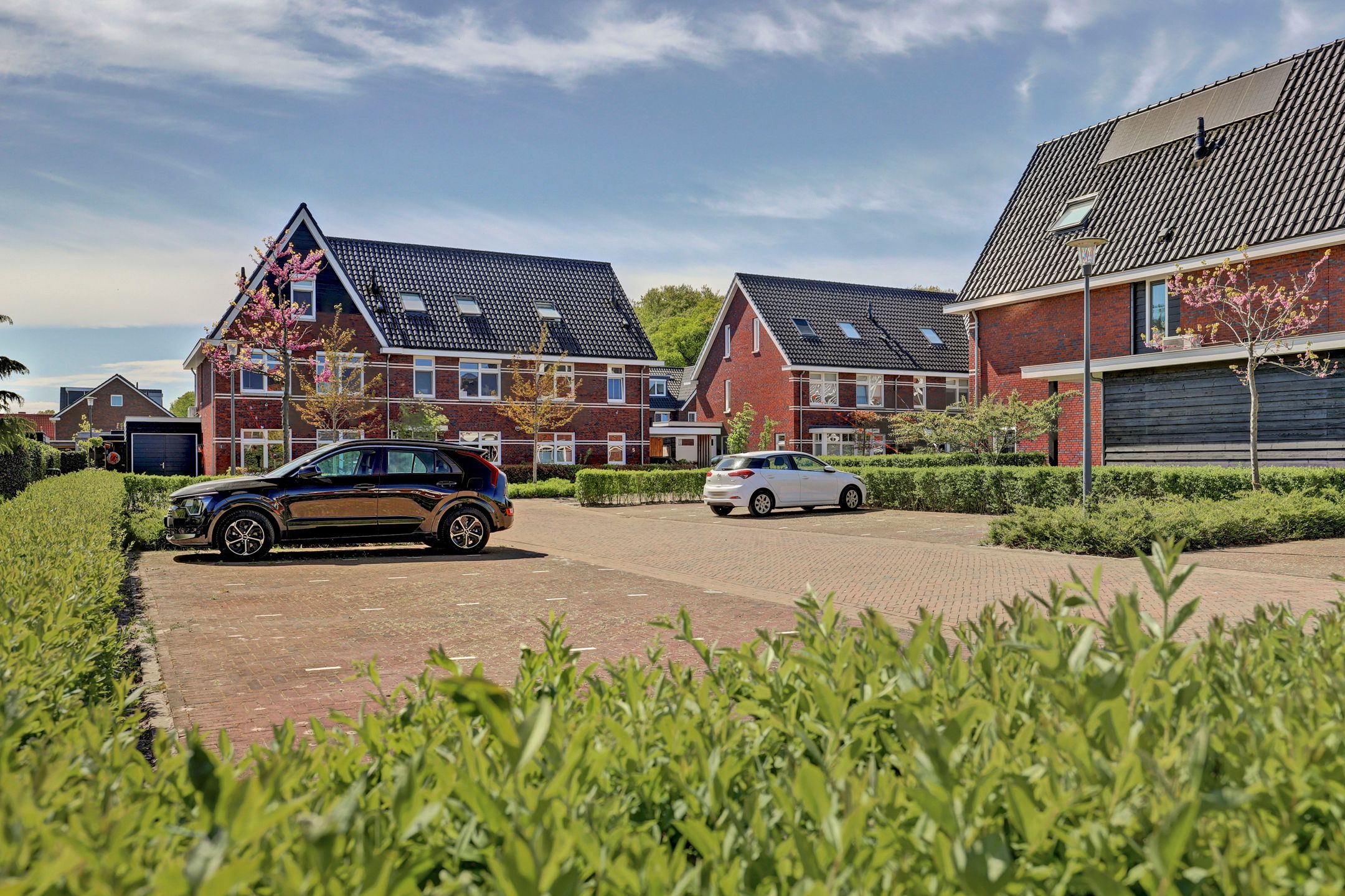 Photo 42 of Beltmolen 97