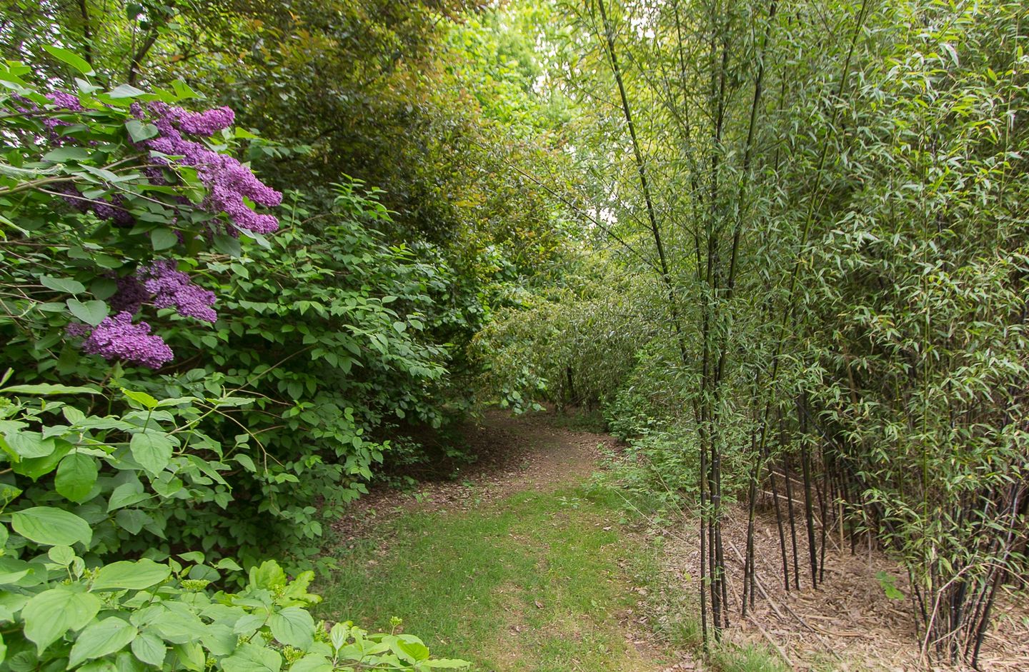 Photo 34 of Benedenkerkstraat 87