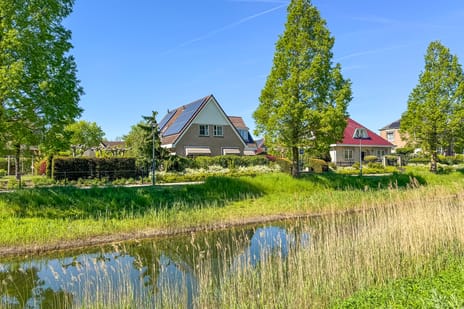 Statendam thumbnail