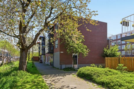van Borsselestraat thumbnail