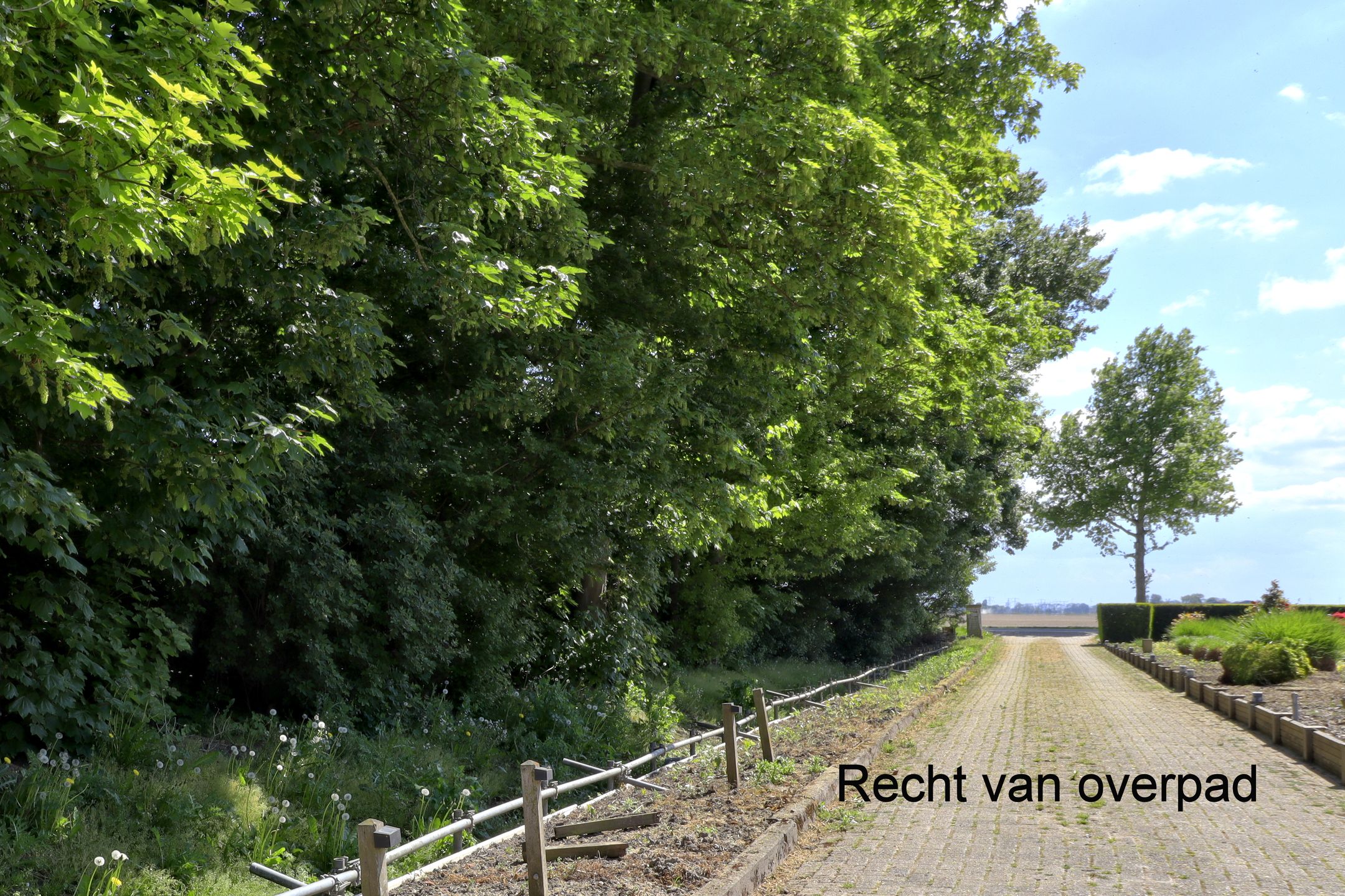 Foto 33 van Kleiweg 21-C