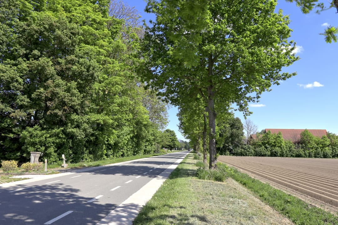 Foto 38 van Kleiweg 21-C