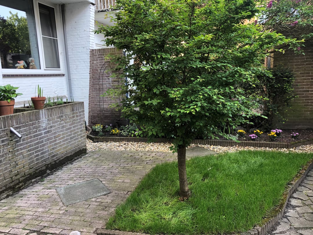 Foto 7 van Eusebiusbinnensingel 6-1