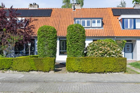President Reitzlaan thumbnail