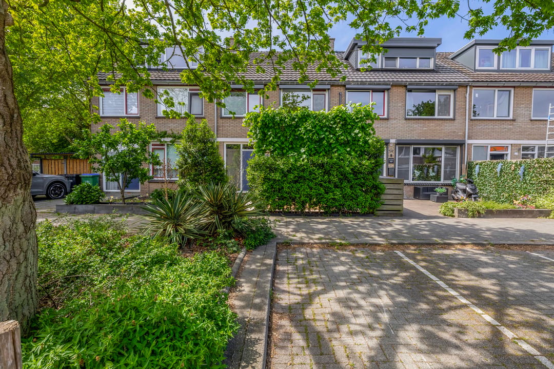 Foto 41 van Christoffelkruid 61