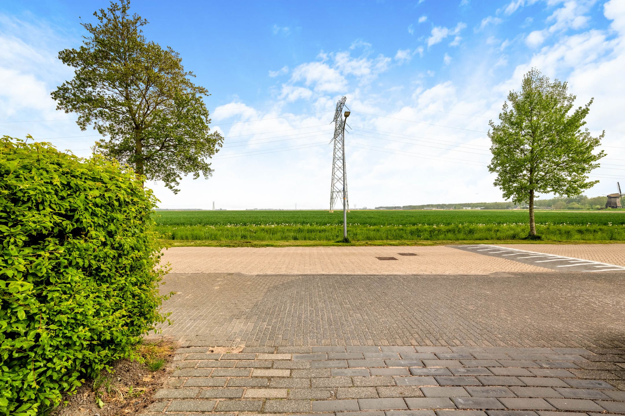 Photo 51 of Binnenkruier 96
