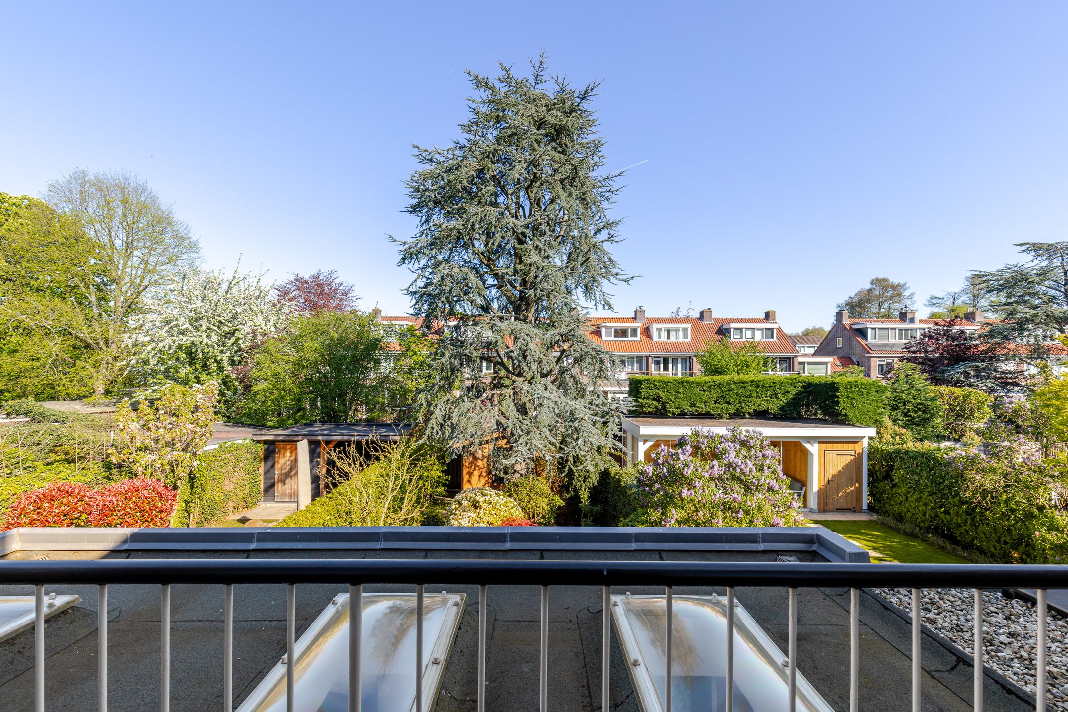 Photo 42 of Van Ballegooijsingel 56