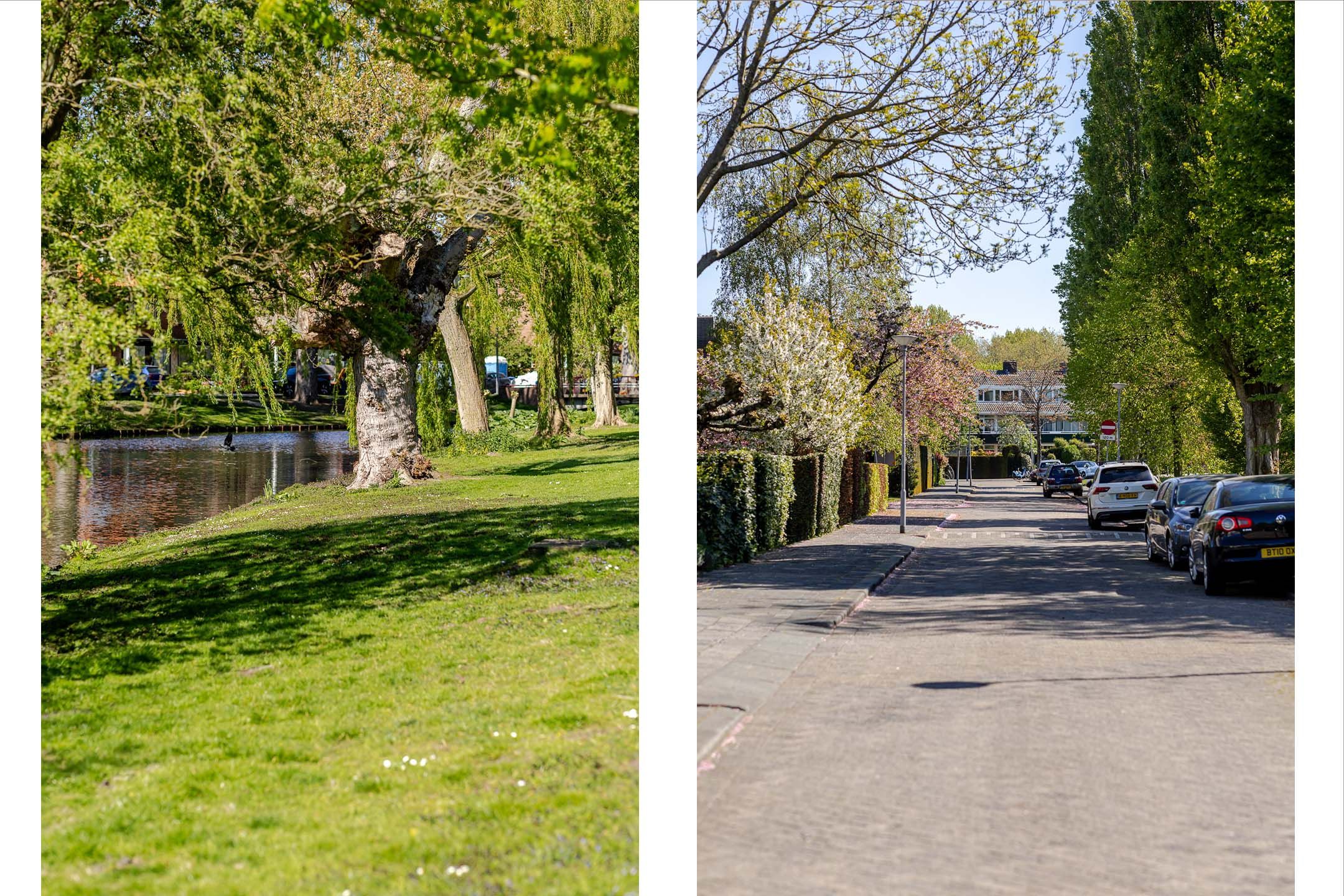 Photo 57 of Van Ballegooijsingel 56