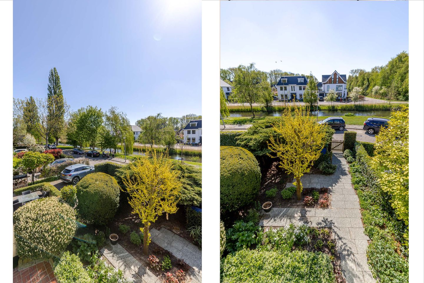 Photo 55 of Van Ballegooijsingel 56