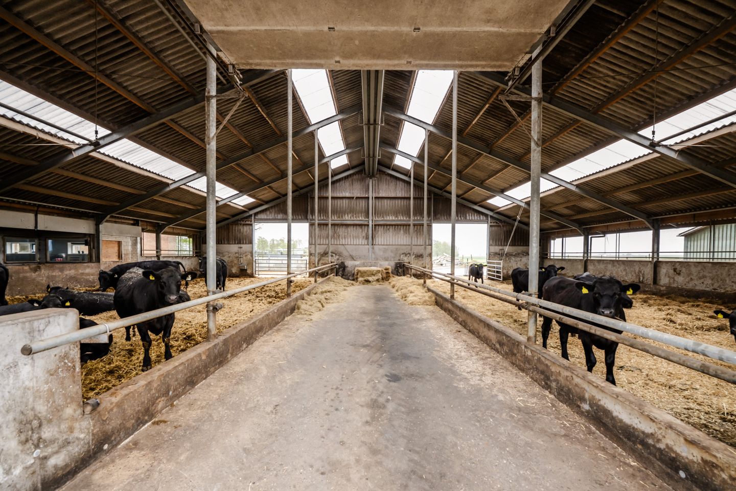 Hoge Herenweg 8 - Marrum - Afbeelding 4