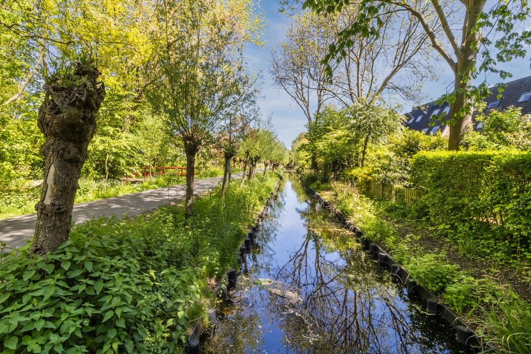 Foto 41 van Zijdevlinder 6