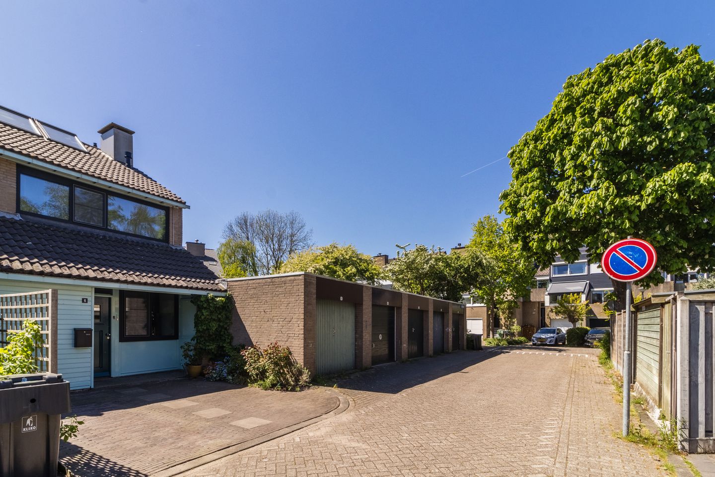 Foto 4 van Zijdevlinder 6
