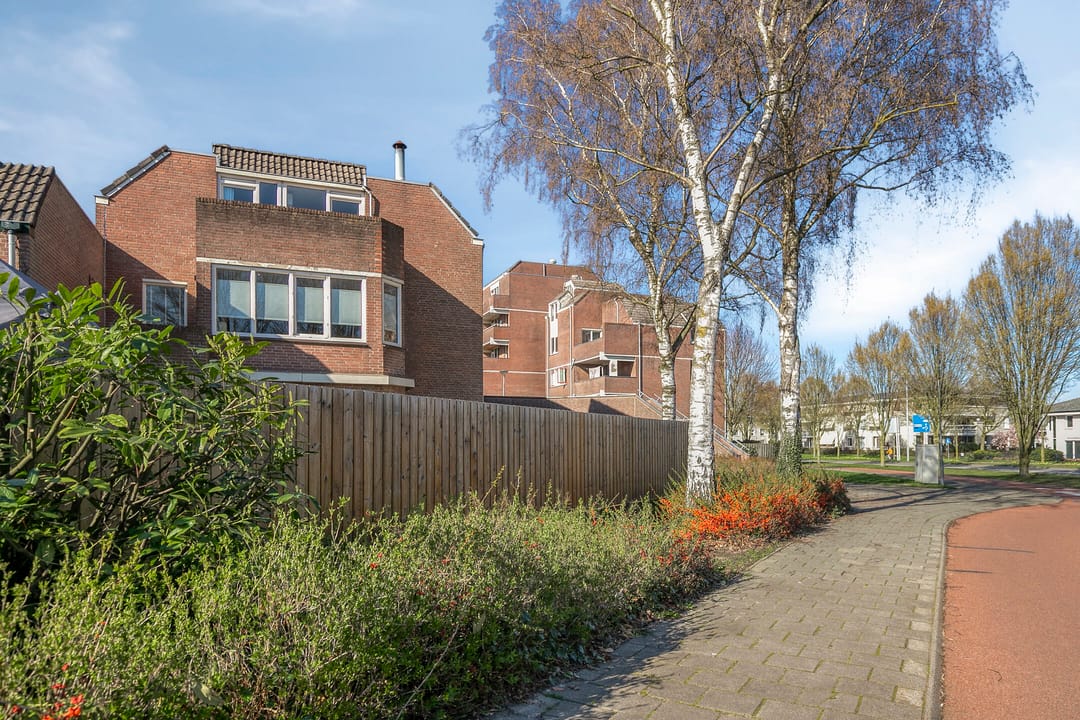 Photo 43 of Braak 111