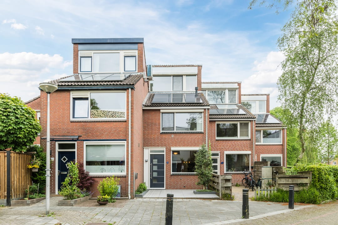 Foto 1 van Zwanebloem 4
