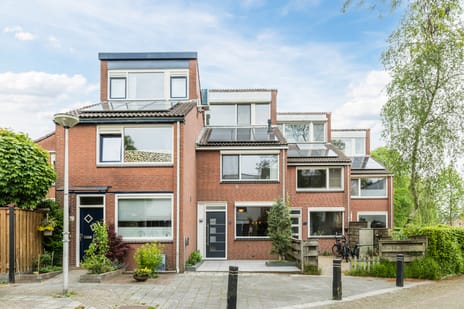 Zwanebloem thumbnail