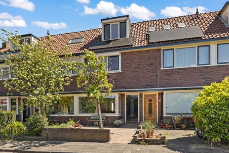 Dintelstraat thumbnail