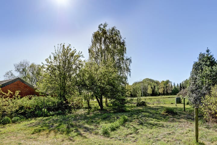 Foto 5 van Nijhoven 1-A
