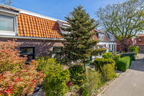 Konijnenpad thumbnail