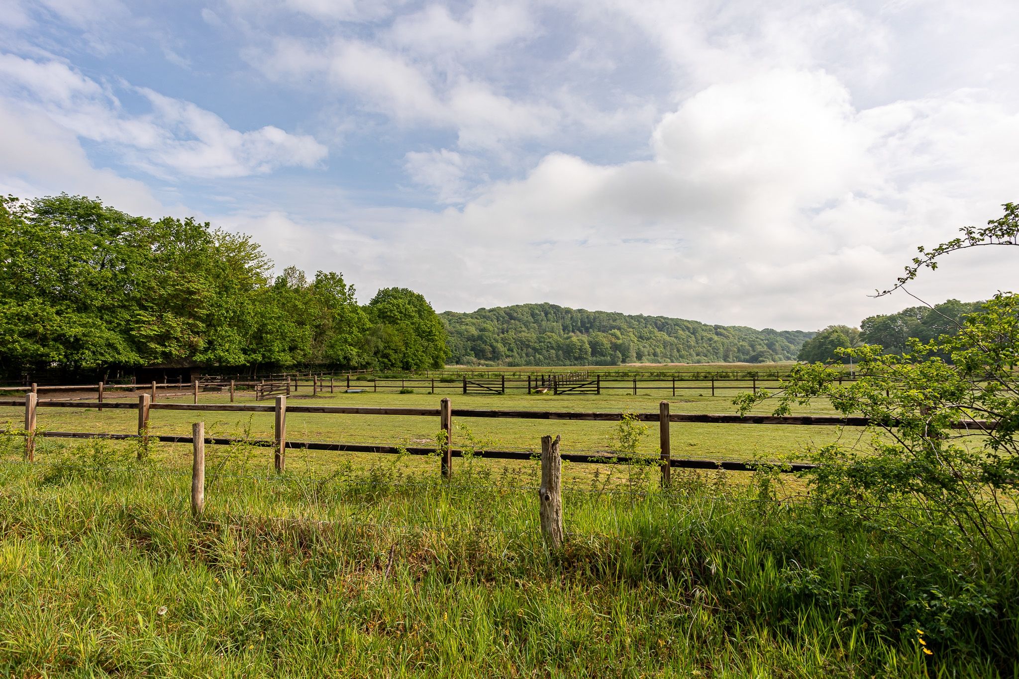 Photo 42 of Helweg 24