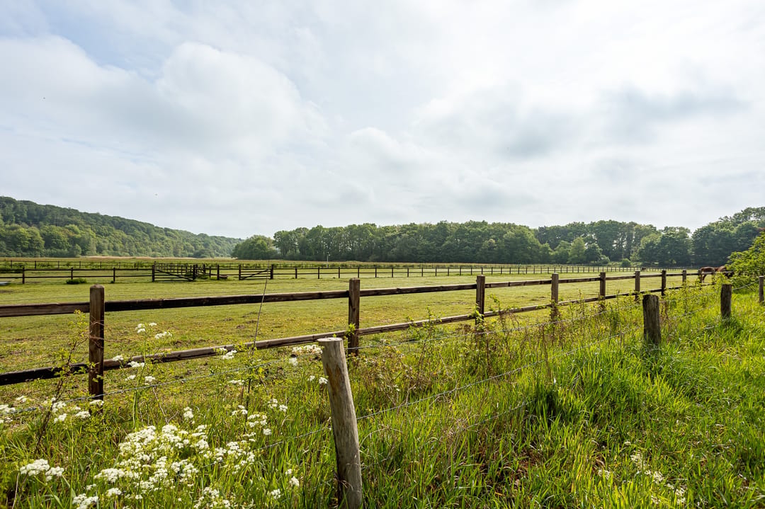 Photo 41 of Helweg 24
