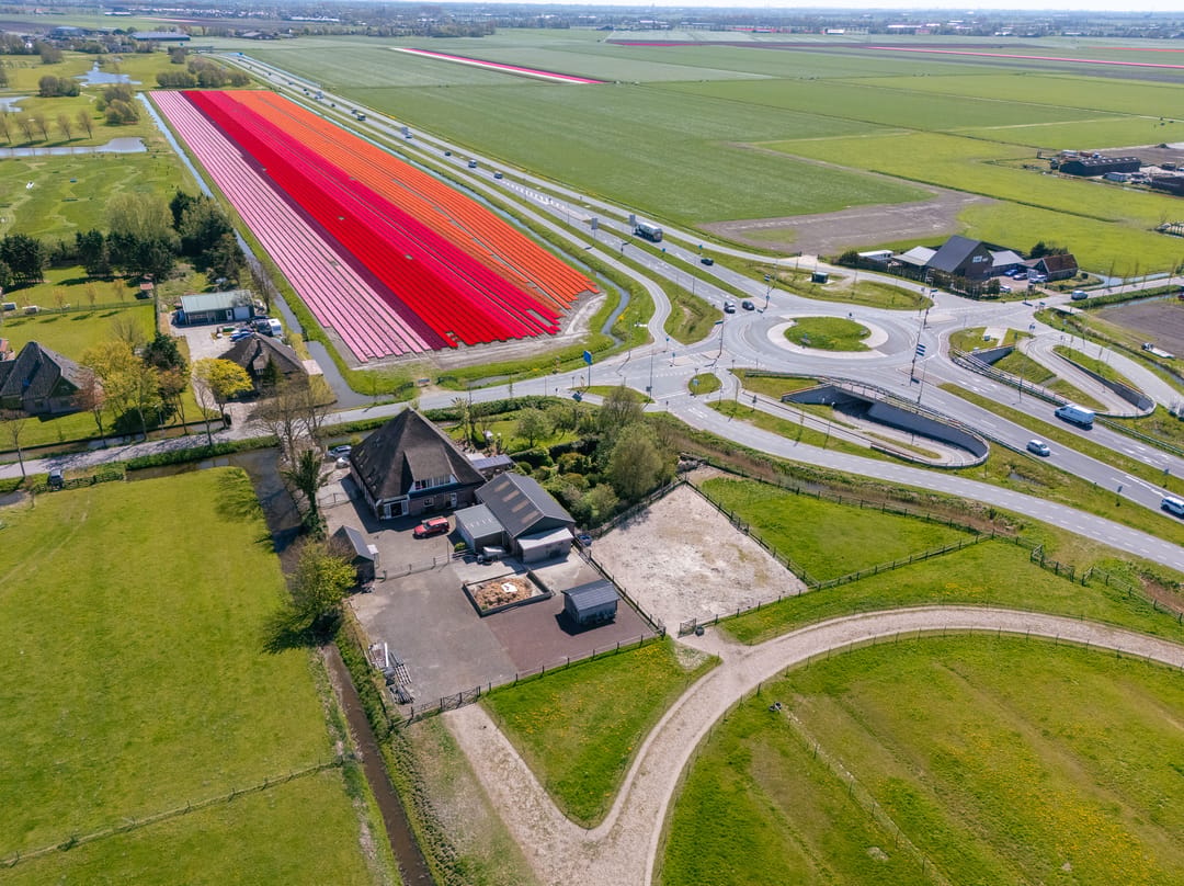 Foto 41 van Wogmeer 101-A