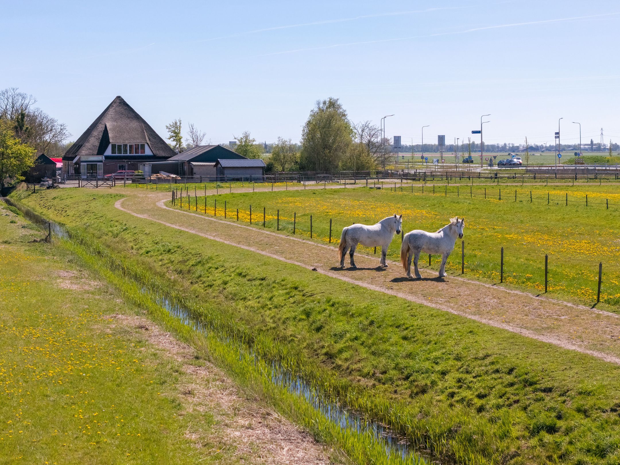 Foto 48 van Wogmeer 101-A