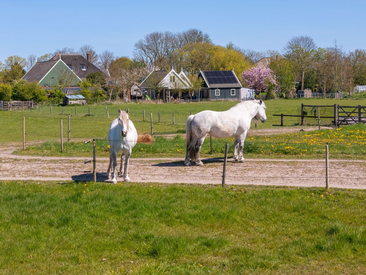 Foto 49 van Wogmeer 101-A