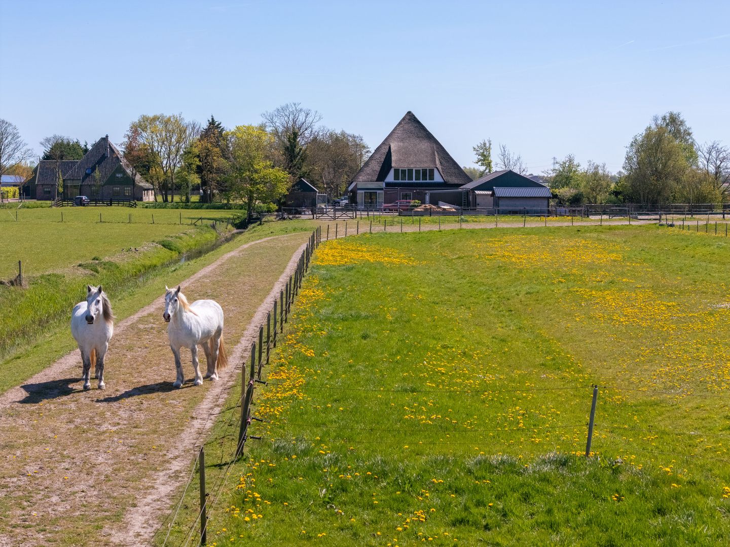 Foto 5 van Wogmeer 101-A