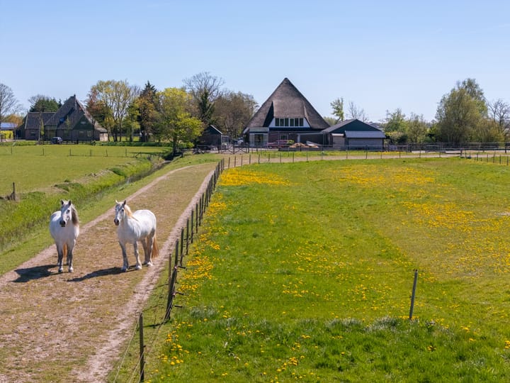 Foto 5 van Wogmeer 101-A