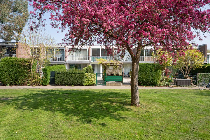 Photo 2 of Dokter van Kleefstraat 24-B