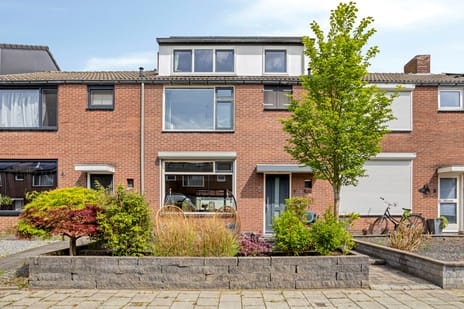Swammerdamstraat thumbnail
