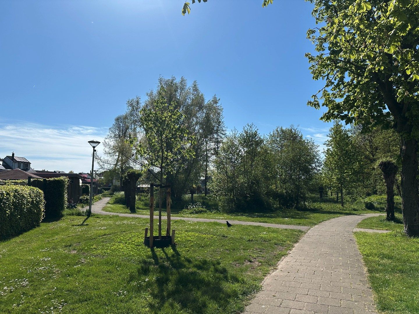 Photo 45 of Kardinaalspad 22