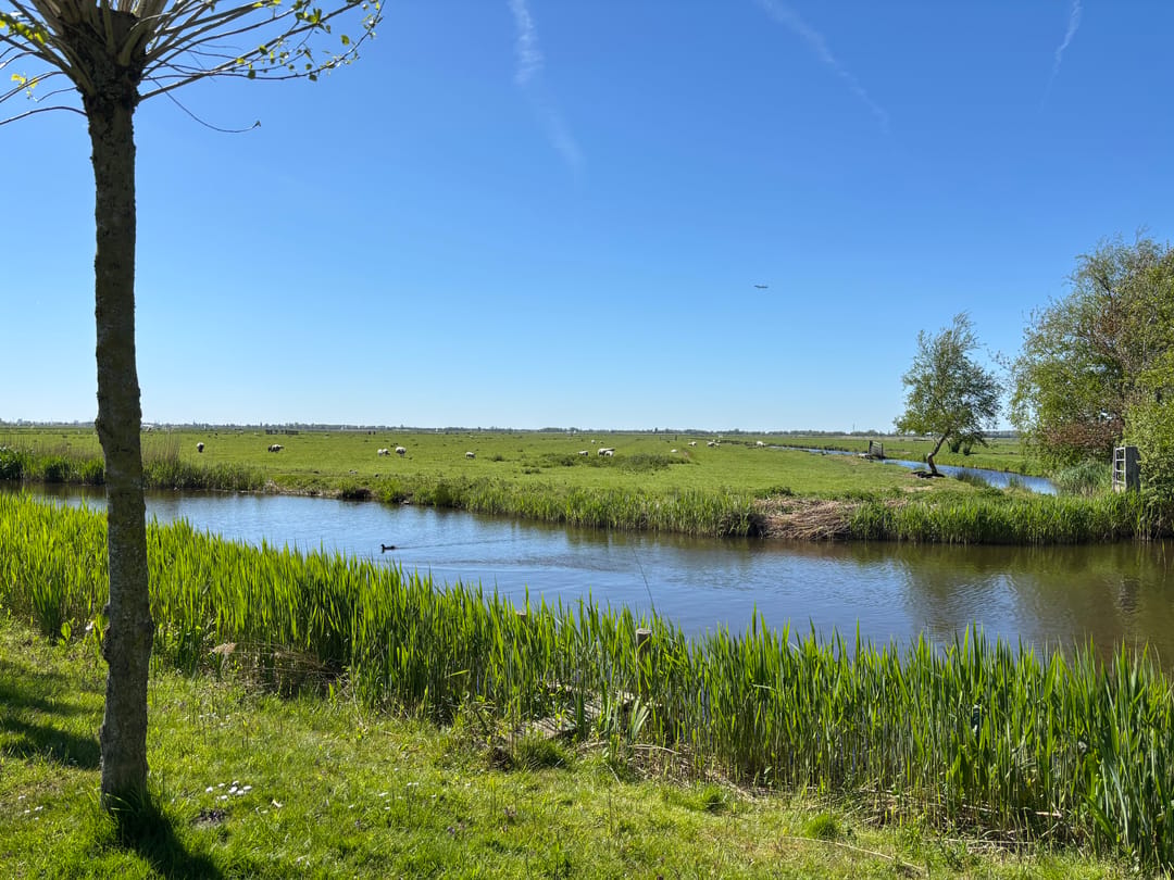 Photo 32 of Woude 26