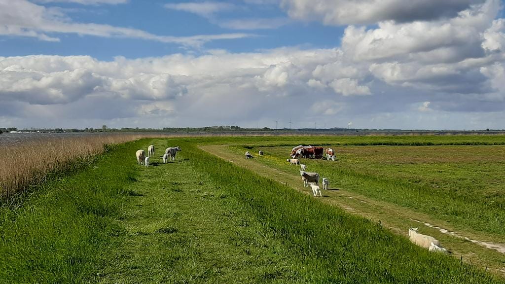 Photo 36 of Woude 26