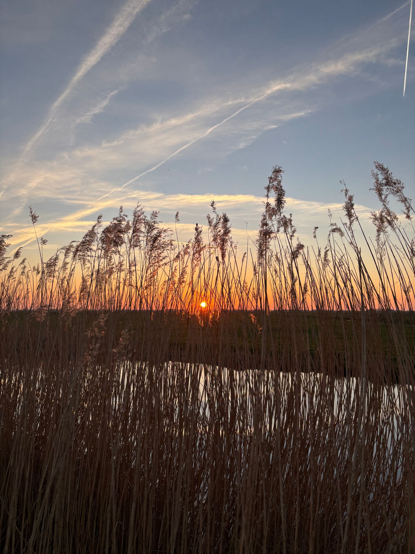 Photo 35 of Woude 26