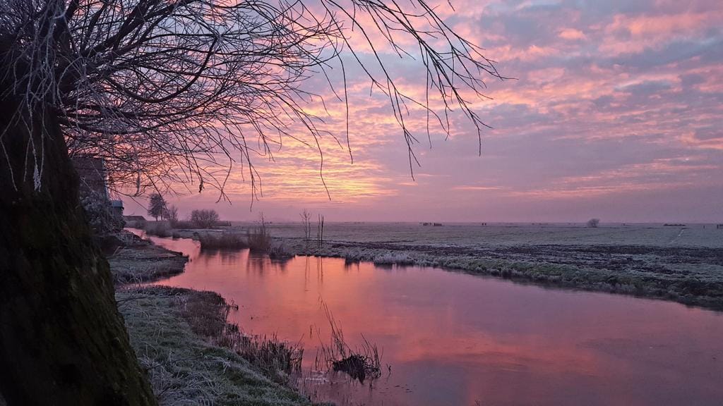 Photo 37 of Woude 26