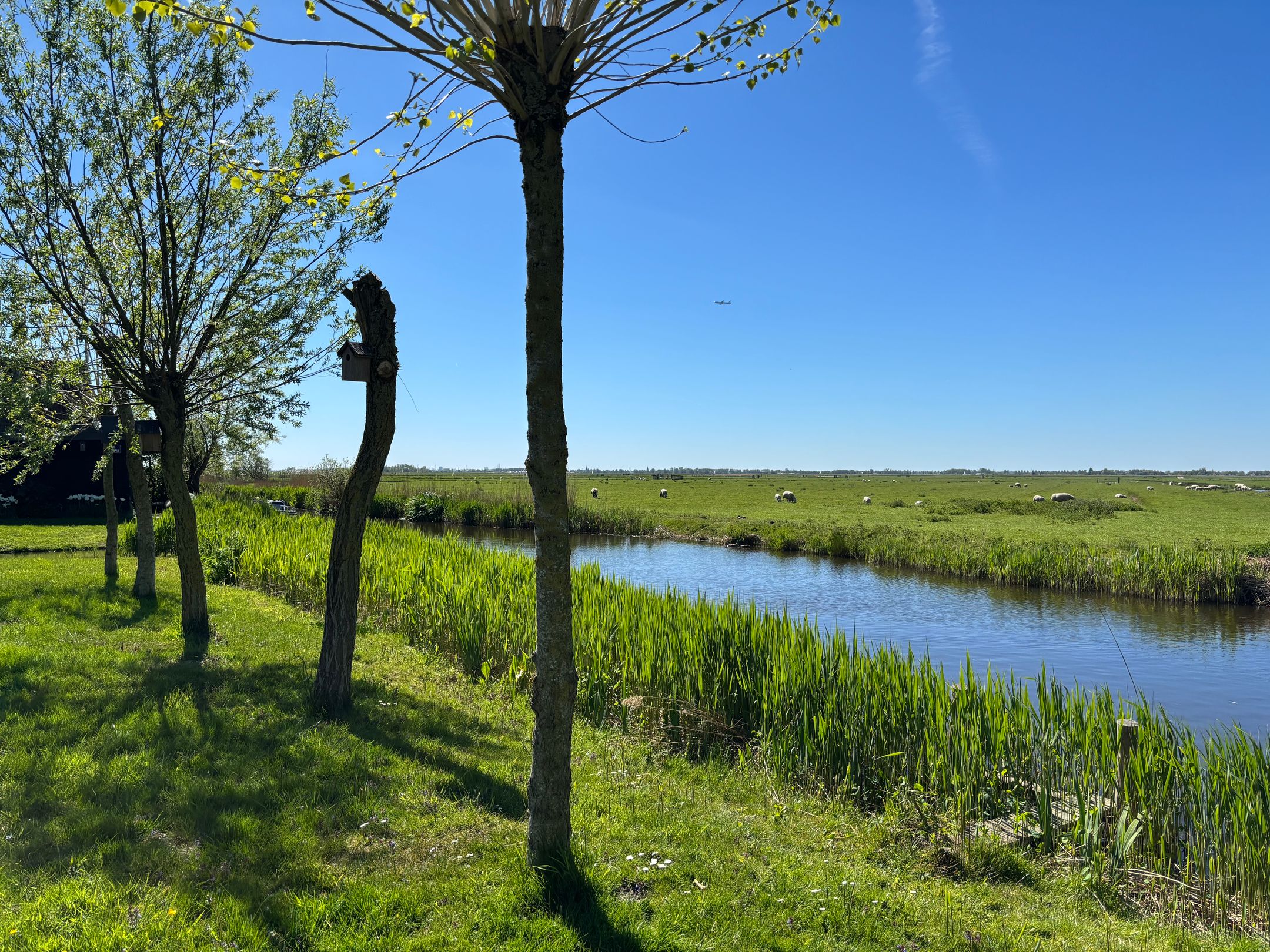 Photo 33 of Woude 26