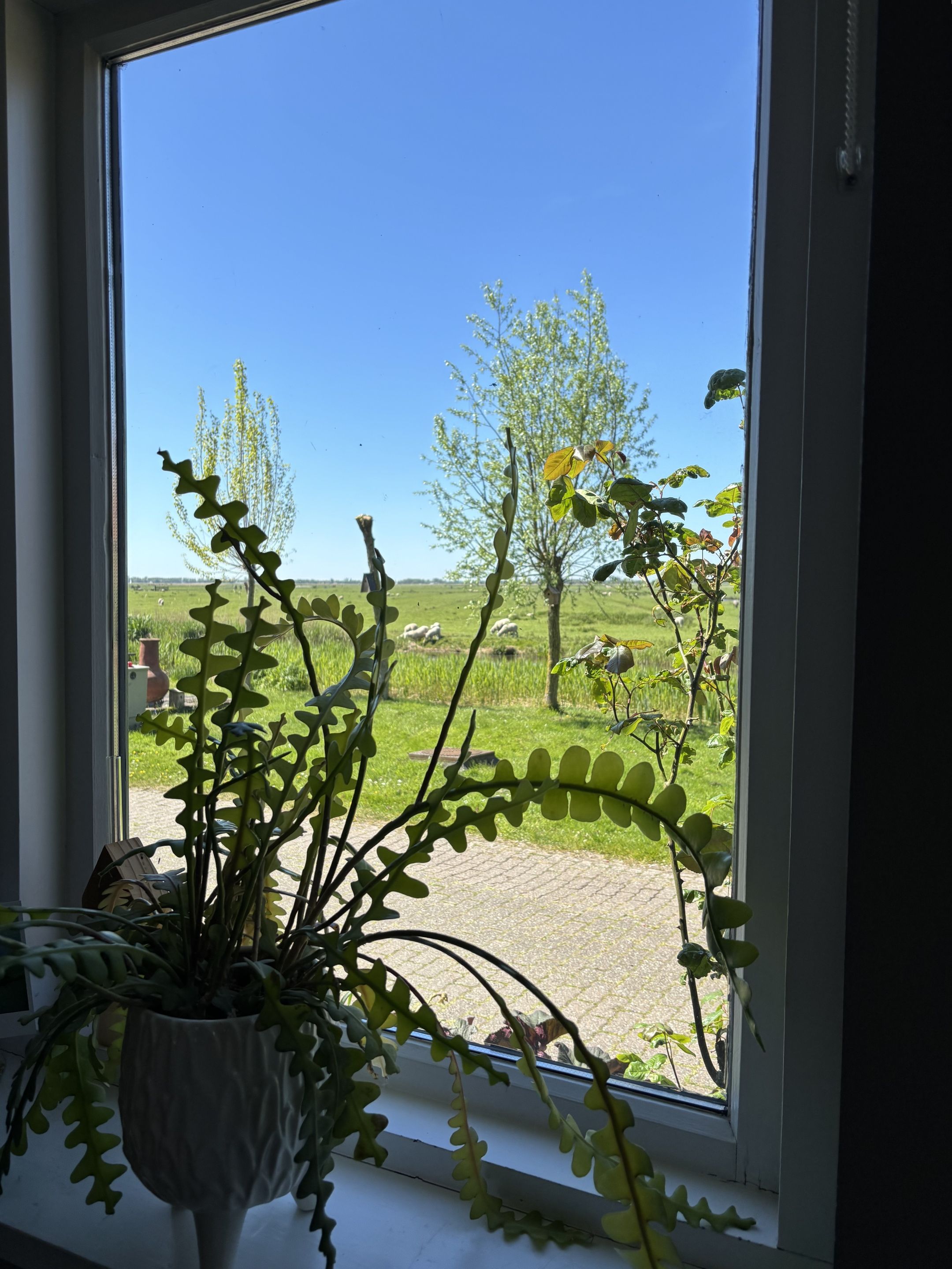 Photo 9 of Woude 26
