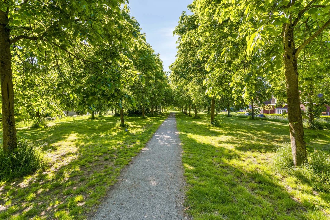 Foto 41 van Stadsmuur 6