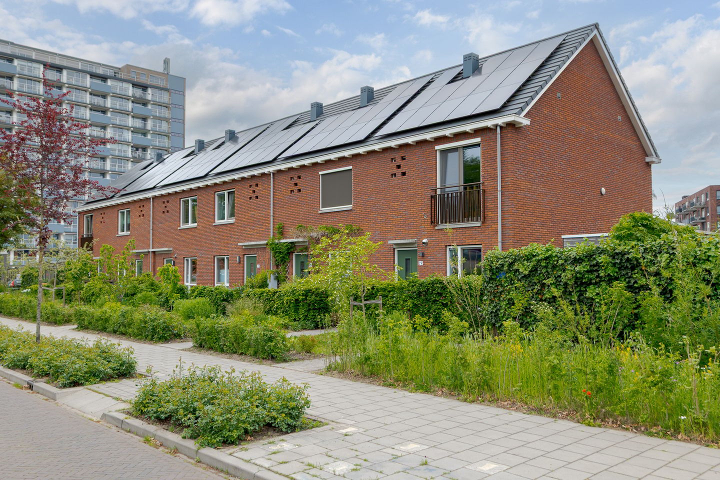 Foto 4 van Radewijnsstraat 29