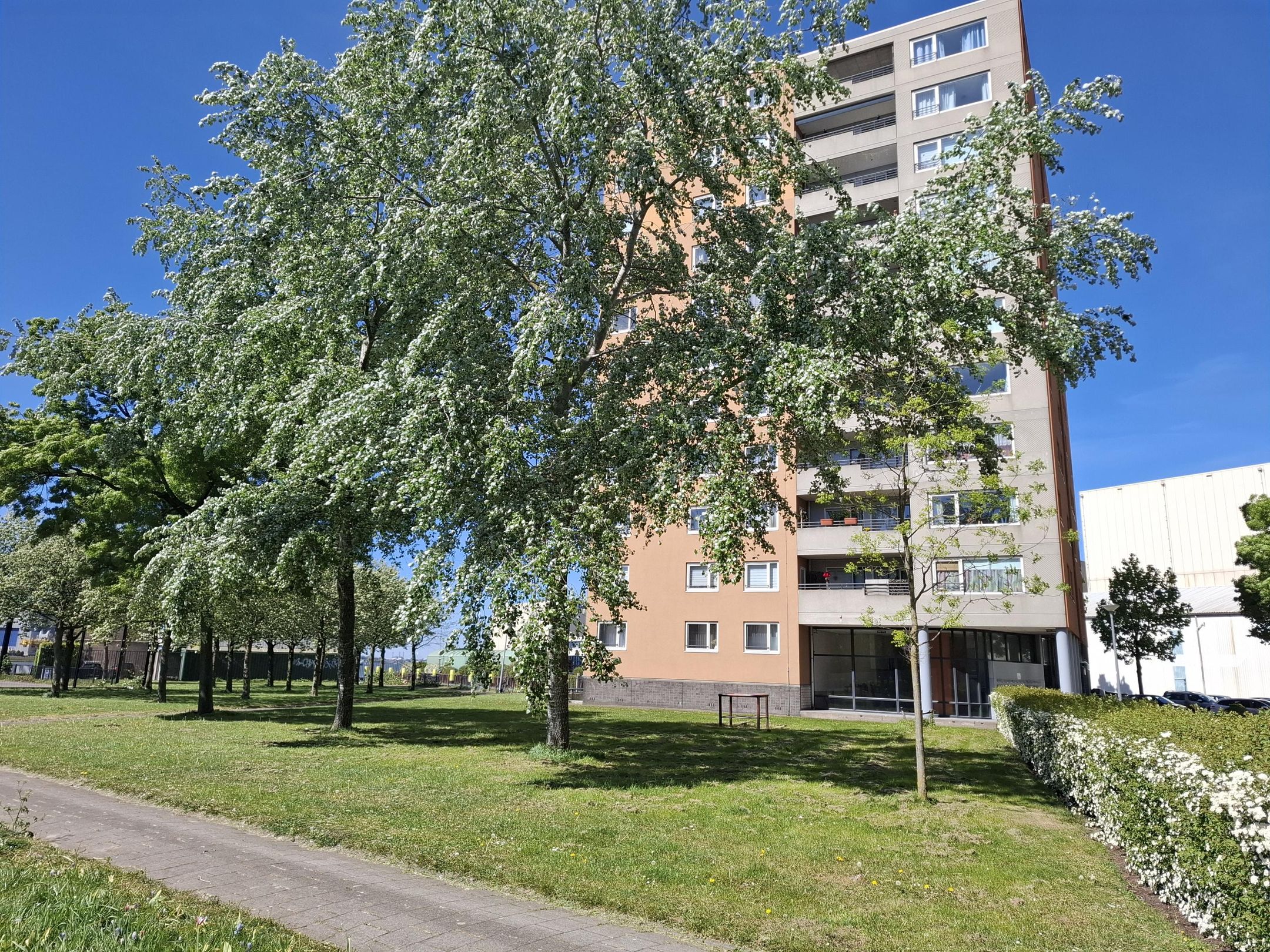 Speedwellstraat 356 