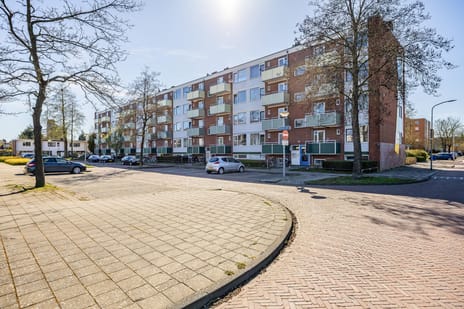 Reviusstraat thumbnail