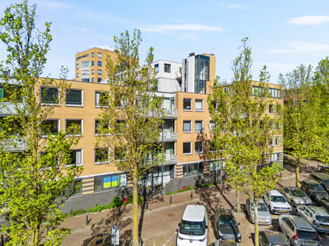 Henriëtte Roland Holststraat thumbnail